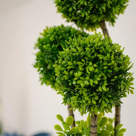 Appartement San Pio Cozy - Relax Near Station Bari